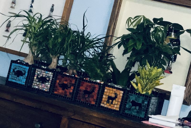 Six square mosaic planters lined up on a mantel, each with a different animal silhouette, holding small houseplants