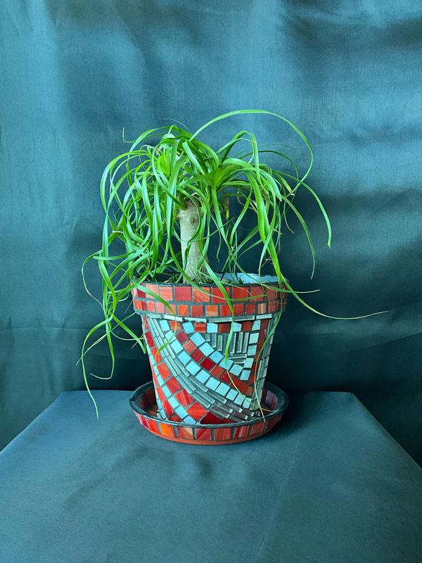 Tapered round terracotta-style planter in red, orange, and turquoise geometric mosaic with matching saucer, holding a ponytail palm
