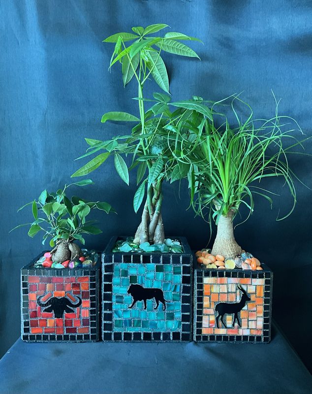 Three square mosaic planters in red, teal, and orange with animal silhouettes on a dark blue backdrop