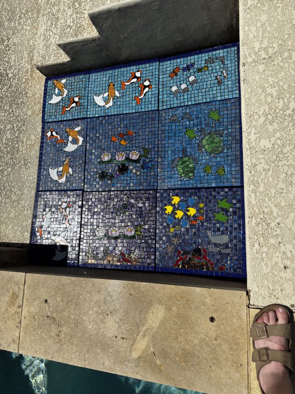 Custom mosaic panels set into a space beside a pool, featuring koi, turtles, and tropical fish in blue glass tile